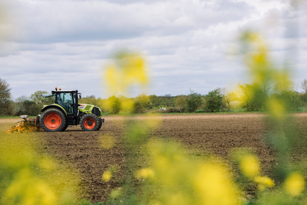 The Sugar Series: How is Beet Sugar Made? | Czarnikow