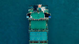 a bird's eye view of a bulk ship