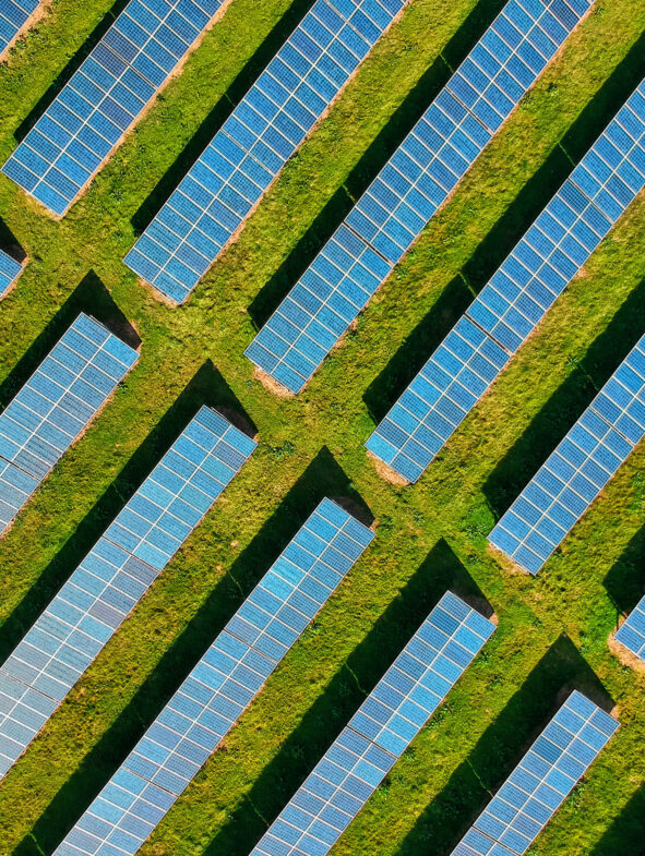 Solar panels in a field.